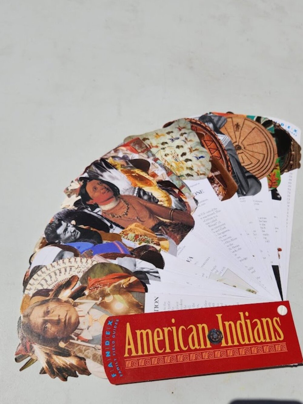 Fandex Family Field Guides American Indians Field Guide Indigenous Native Flash